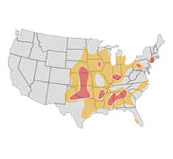US Tornado Map